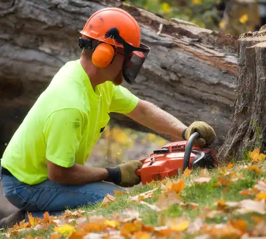 tree services Red Oak